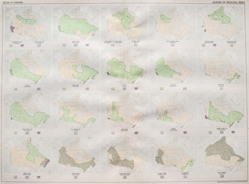 Ranges of Principal Commercial Birds